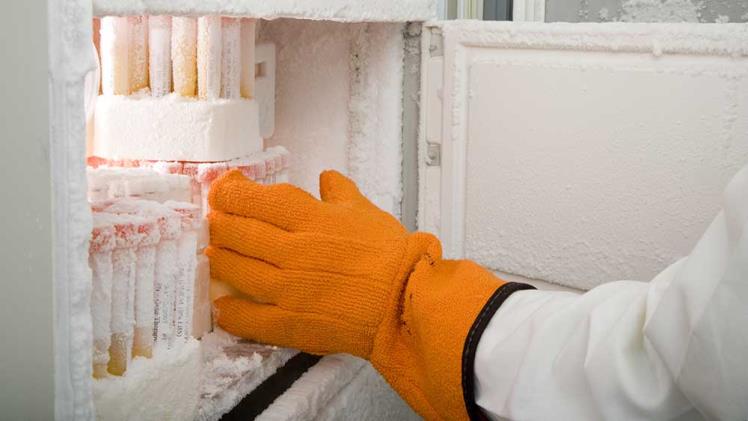 Market Trends And Forecast: Ultra-low Temperature Freezer Manufacturers